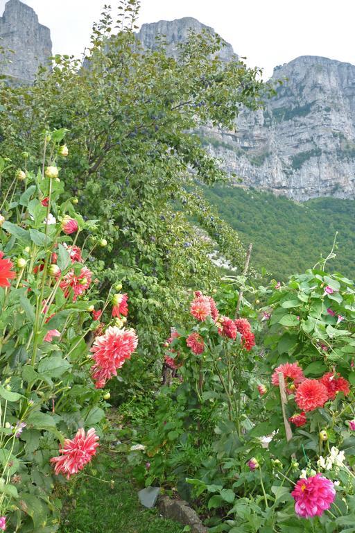 Guesthouse Iro Papingo Dış mekan fotoğraf