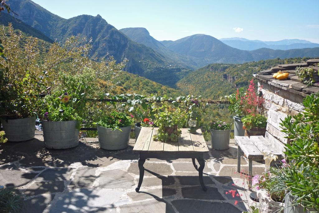 Guesthouse Iro Papingo Dış mekan fotoğraf
